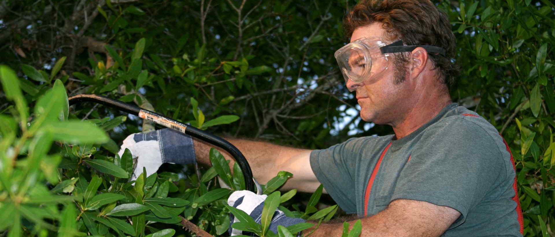 garden clearance IG2